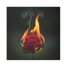 L'image d'un rose en feu est pleine de sens
