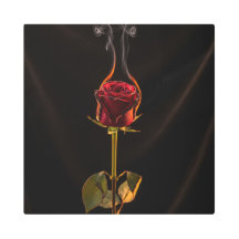 L'image d'un rose en feu est pleine de sens