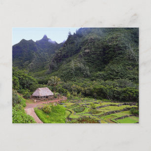 Limahuli Garden Taro Fields, Kauai Briefkaart