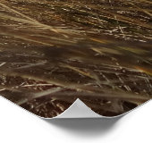 Limantour Beach at Point Reyes II Poster (Hoek)