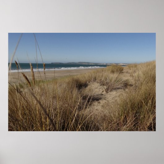 Limantour Beach at Point Reyes II Poster (Voorkant)
