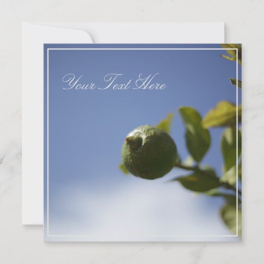 Lime de citron vert Votre carte à plat texte (Devant)
