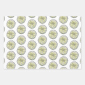 Lime d'été et feuille botanique Feuilles d'envelop (Devant 2)