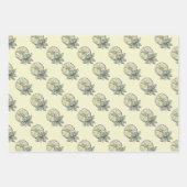 Lime d'été et feuille botanique Feuilles d'envelop (Devant)