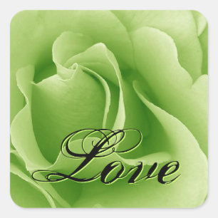 Lime Groene LIEFDE Bruiloft Roos Vierkante Sticker