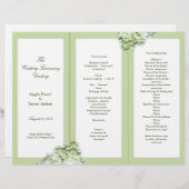 Limelight Green Hydrangea Plier Programme Modèle (Devant / Derrière)