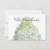 Limelight Hydrangea Blank Floral Merci Cartes (Devant)