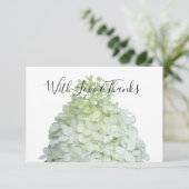 Limelight Hydrangea Blank Floral Merci Cartes (Debout devant)