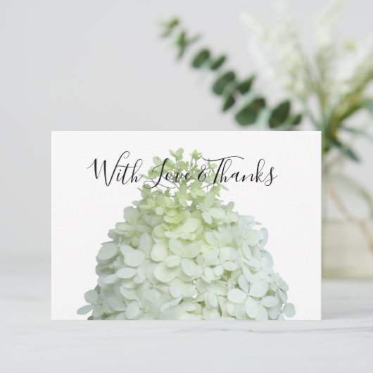 Limelight Hydrangea Blank Floral Merci Cartes (Debout devant)