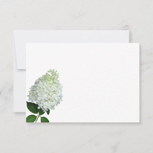Limelight Hydrangea Blank Floral Merci Cartes (Dos)