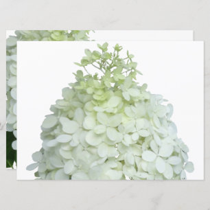 Limelight Hydrangea Bridal / Wedding Shower Kaart