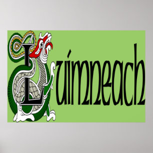 Limerick (Gaelic) Poster Print