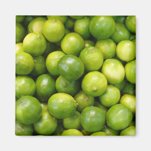 Limes Magnet 01 Magneet