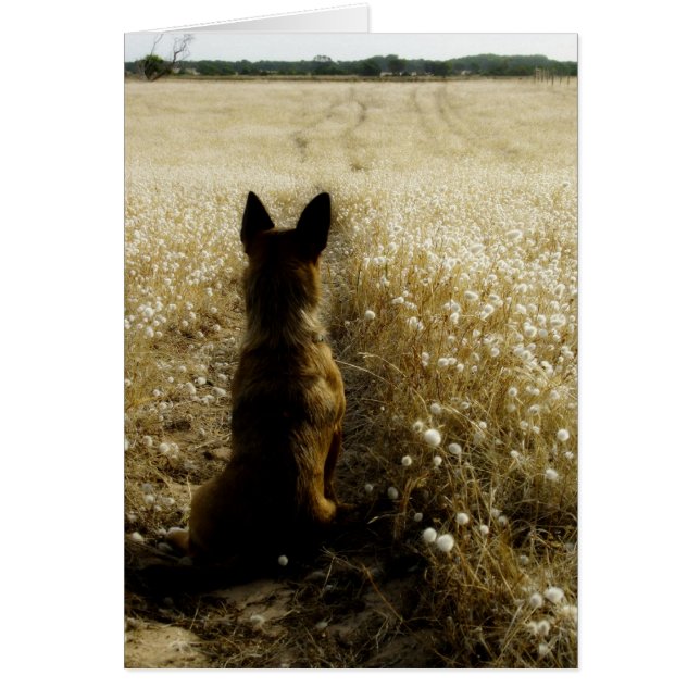 Limite du retour (Devant)