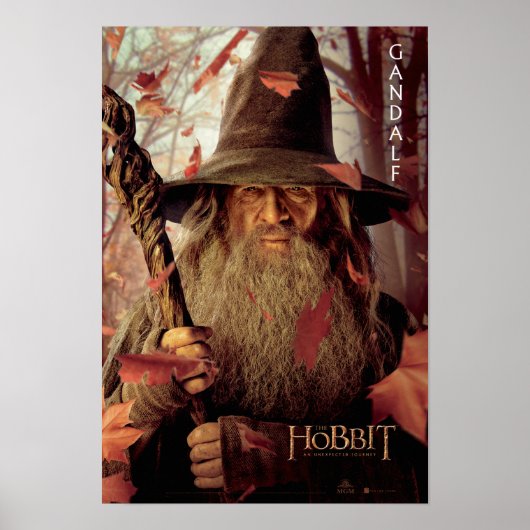 Limited Edition Artwork: Gandalf Poster (Voorkant)