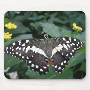 Limoen Butterfly en bloemen Mousepad Muismat