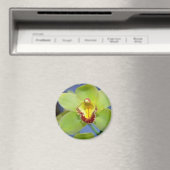 Limoen Cymbidiumbloemen Magneet (Insitu (Vaatwasser))