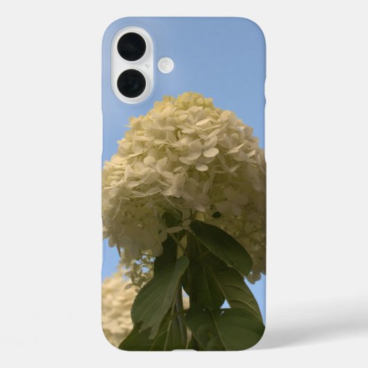 Limoen Hydrangea Flowers Blue Sky Case-Mate iPhone Case (Achterkant)