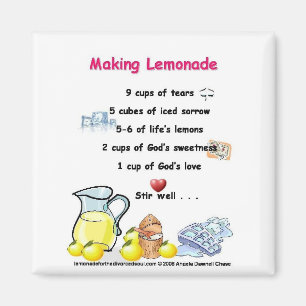 limonade magnet magneet