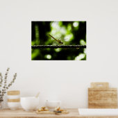 limonade poster (Keuken)