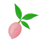 Limonade rose 