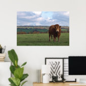 Limousin Bull Print (Thuiskantoor)