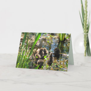 Limpkin-familie - Moeder en kuikens - Moederdag Kaart