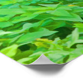 Limpkin, Zwembaldruk Poster (Hoek)