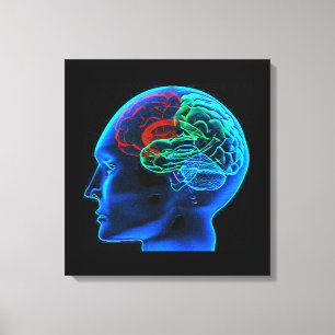 L'impression en toile étirée du cerveau humain