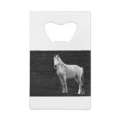 LIN10BW le Stance.tif (Dos)