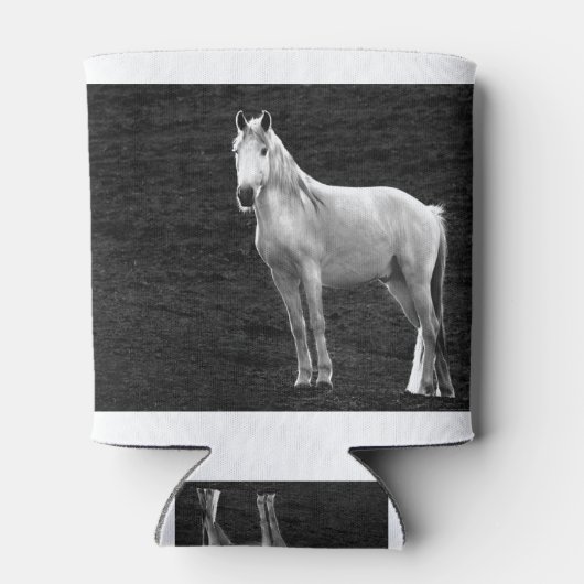 LIN10BW Stance.tif Blikjeskoeler (Achterkant)