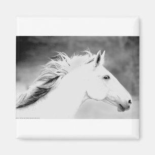 LIN26BW-mane in de Wind.tif Magneet