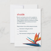 Lin Peggy RSVP 3,5x5 (Dos)