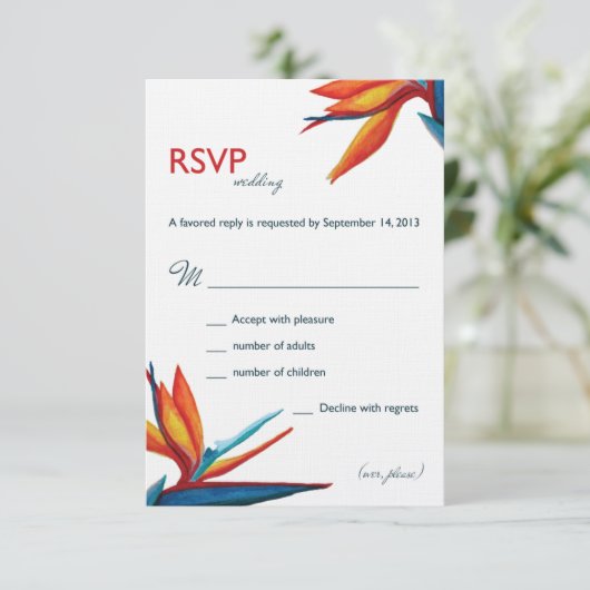 Lin Peggy RSVP 3,5x5 (Debout devant)