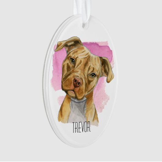 L'inclinaison | de tête de chien de Pitbull (devant)