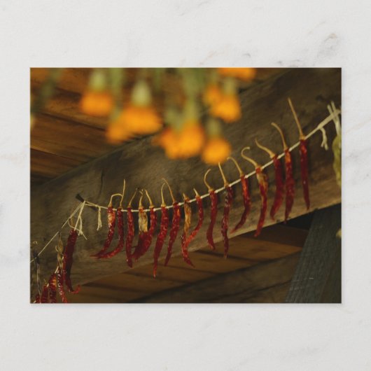 Lincoln Log Cabin Briefkaart (Voorkant)