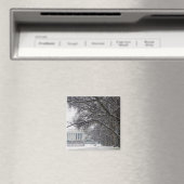 Lincoln Memorial Wintersneeuw Magneet (Insitu (Vaatwasser))