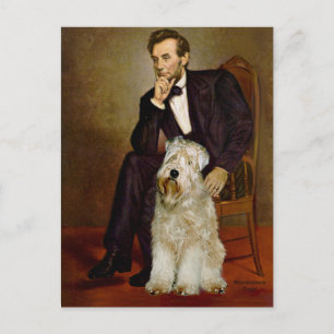 Lincoln - Wheaten Terrier 7 Briefkaart