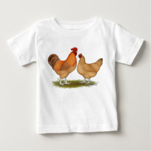 Lincolnshire Buff Chickens
