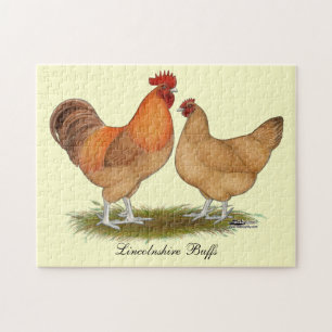 Lincolnshire Buff Chickens Legpuzzel