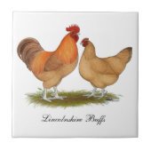 Lincolnshire Buff Chickens Tegeltje (Voorkant)