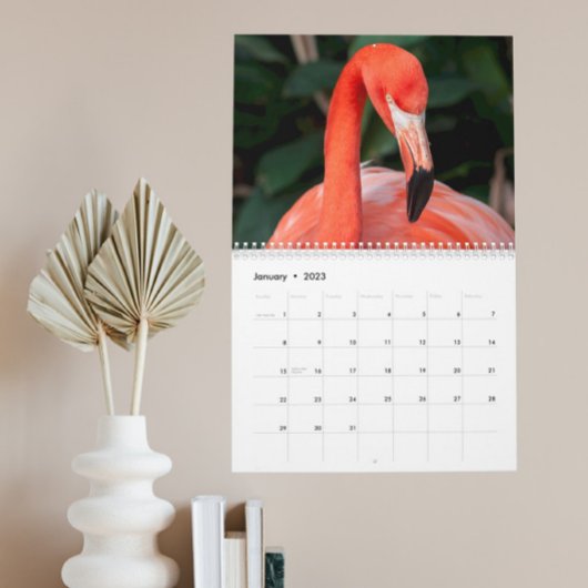 L'incroyable calendrier de Flamants roses Choisiss