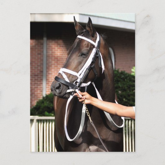 Linda Mimi van Congrats Briefkaart (Voorkant)