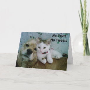 *LINDA'S* KRIJGEN GOED KAART