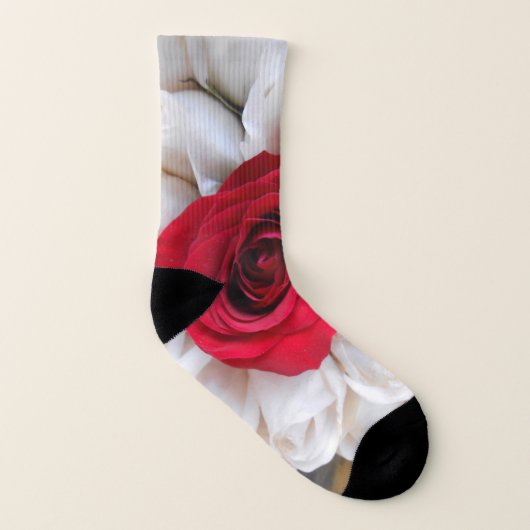 Lindegren (Gauche intérieur)