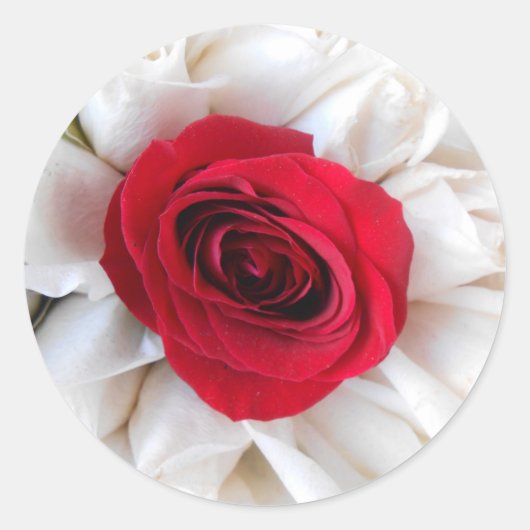 Lindegren Ronde Sticker (Voorkant)