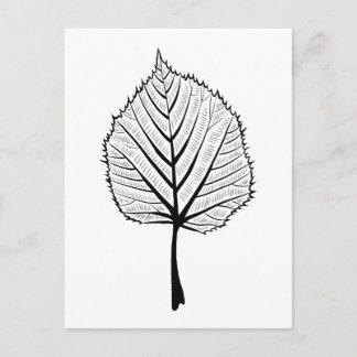 Linden Leaf Outline Art - Botanische kleuren Briefkaart
