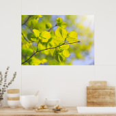 Linden Leaves Poster (Keuken)