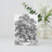 Linden Tree Black en White Antiek Print Briefkaart (Staand voorkant)