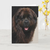 Linderhof Newfie Kaart (Gele Bloem)